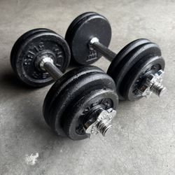 Adjustable Dumbbells 