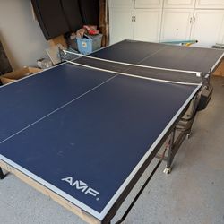Ping Pong Table