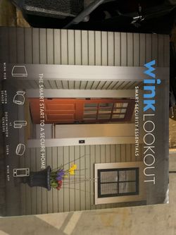 Wink Lookout Hub 2