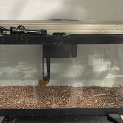 20g Fish Tank Aquarium Kit