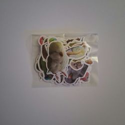 Birds 49 Piece Stickers 