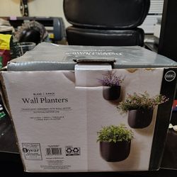 Wall planters