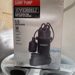 Everbilt Submersible Sump Pump
