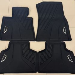 Bmw X5 floor Matts 