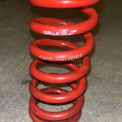Skunk 2 Lowering Springs 