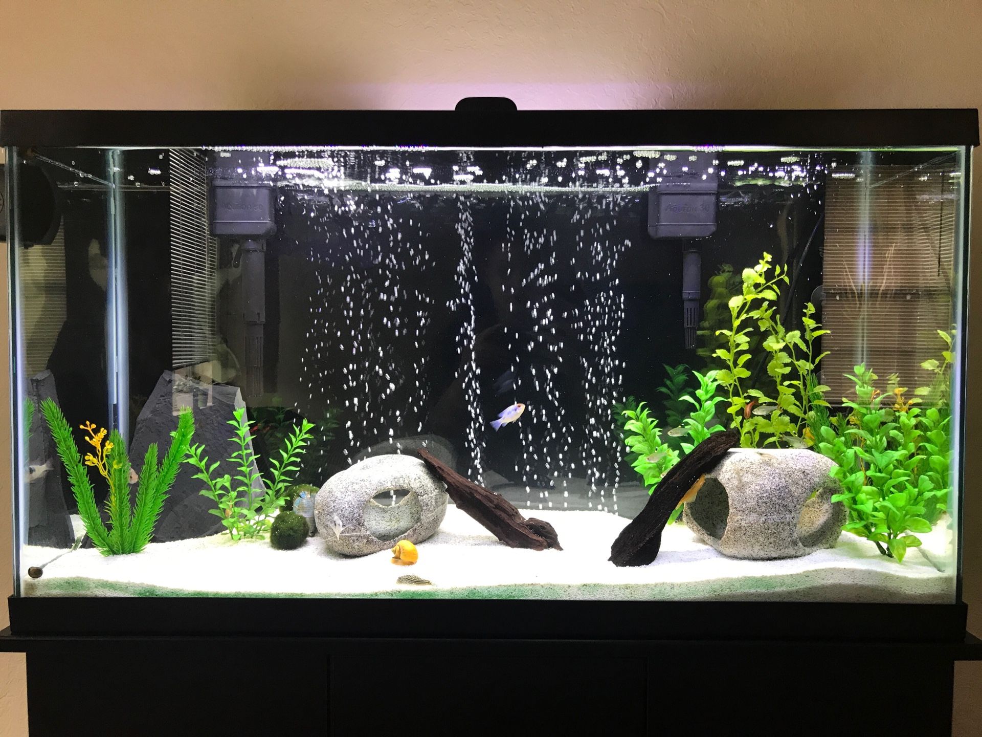 Aquarium (All-Inclusive)