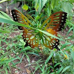 Butterfly Stick