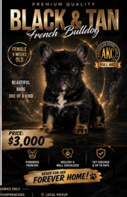 Dog graphics