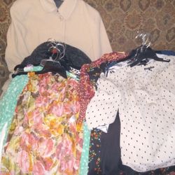 Lady's Large Sz Nice Blouses Lot