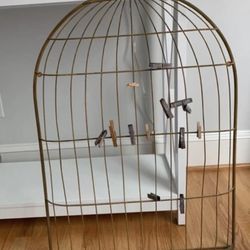 Decorative Bird Cage For Sale 