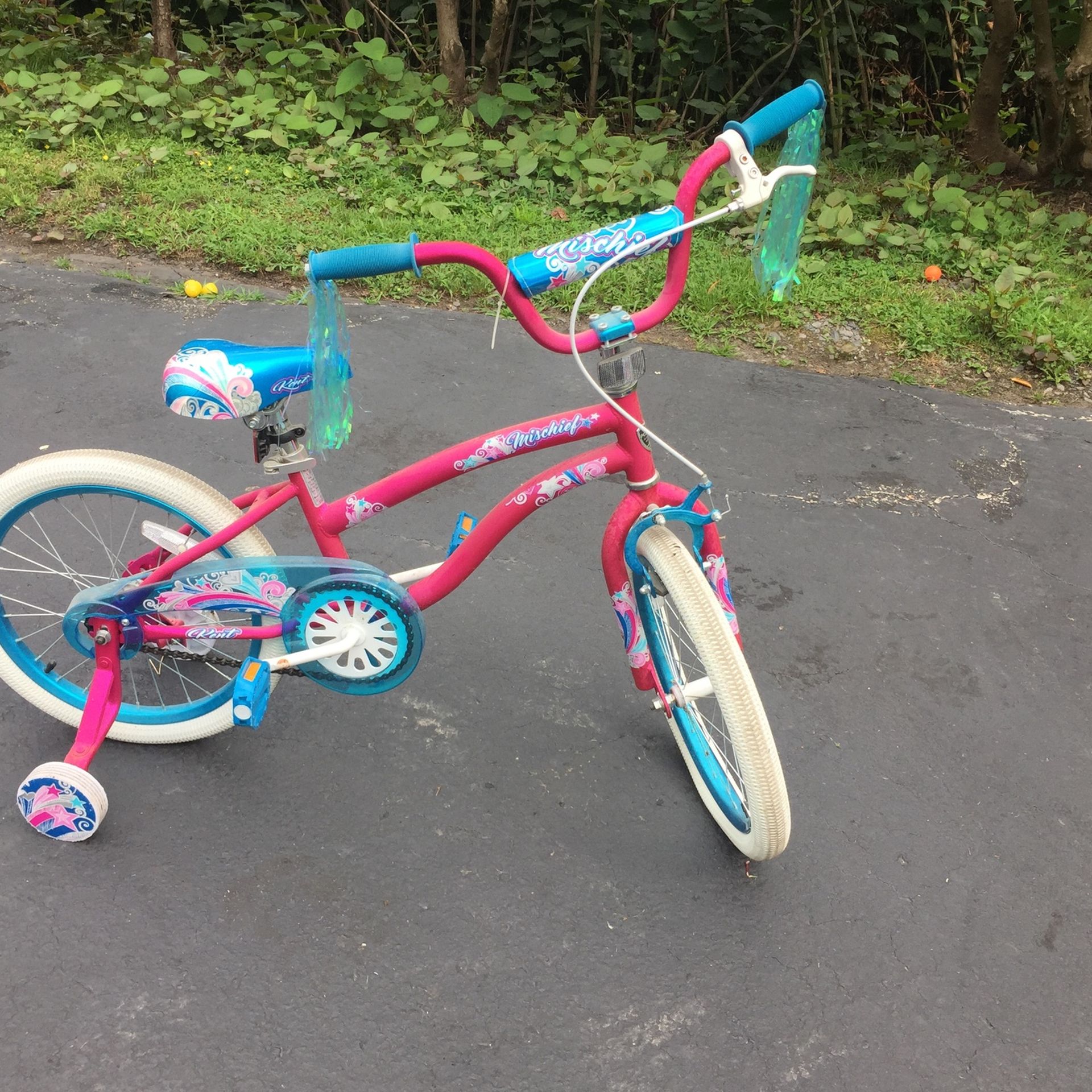Beautiful Bicycle