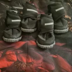 Dog Boots