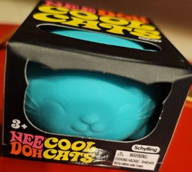 Cool cat