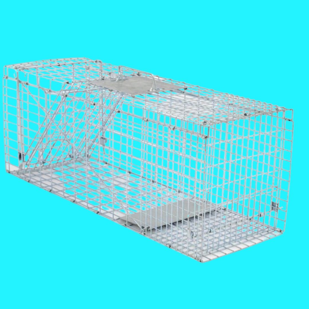 Live animal cage trap