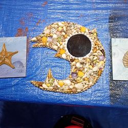 Shells, Shells,and more Shells