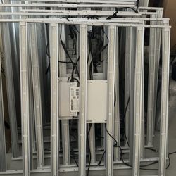 Cannabis Grower Set Up