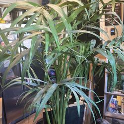 7 Foot Artificial Tree