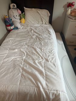 Twin Bed with Pull-Out Trundle – $275 OBO