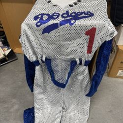 Adult Dodger Costume