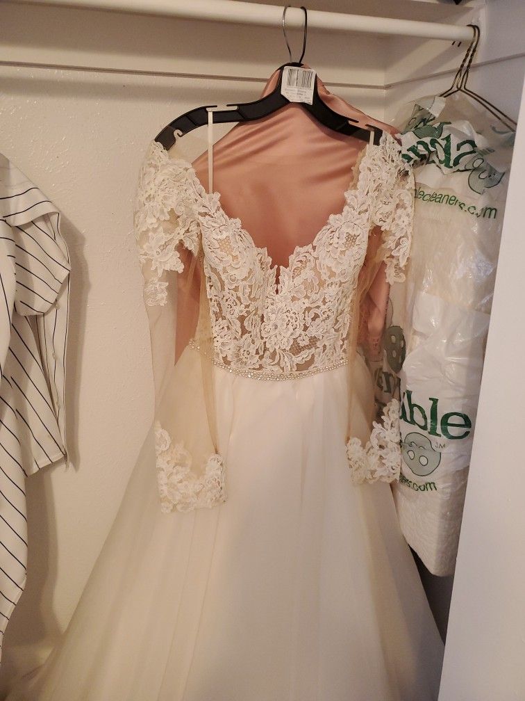 Size 12 Paloma Blanca