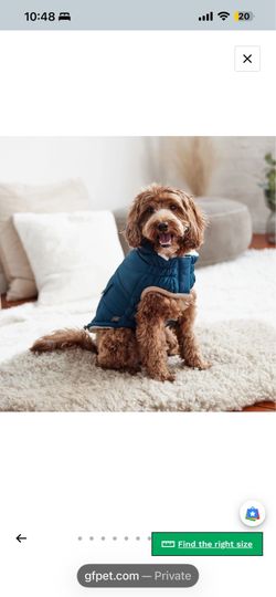 Dog puffer jacket nwt