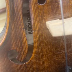 Violin