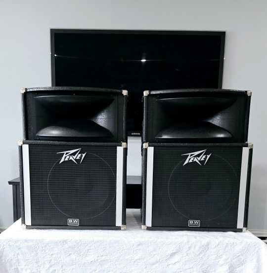 Peavey SP2A Monitor PA Speakers