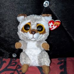 TY Beanie Boos "Oakie"