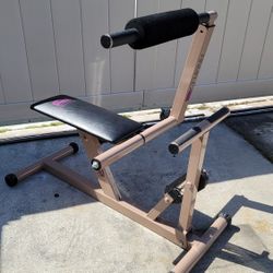 FirmFlex total body trainer machine full body total gym abdominal backRubber for Sale in Tampa FL OfferUp