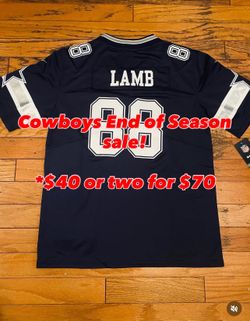 $40 stitch  Pickens, Navy Trevon Diggs Dallas Cowboys Jersey #7 Or Lamb $40