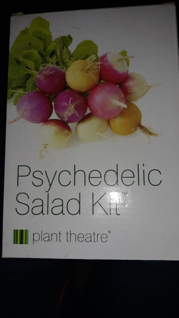 Salad kit...starter pots/seeds