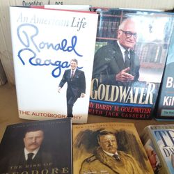 Political Novels