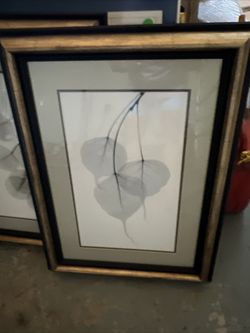 Framed Wall Art