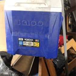 16 Quart Igloo Cooler