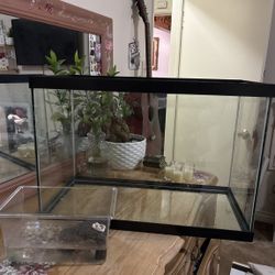 20 gallon fish tank