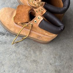 Timberlands Lamps Golt Clubs 