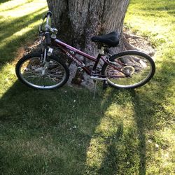 24” Iron Horse Mountain Bike (24 Speeds)
