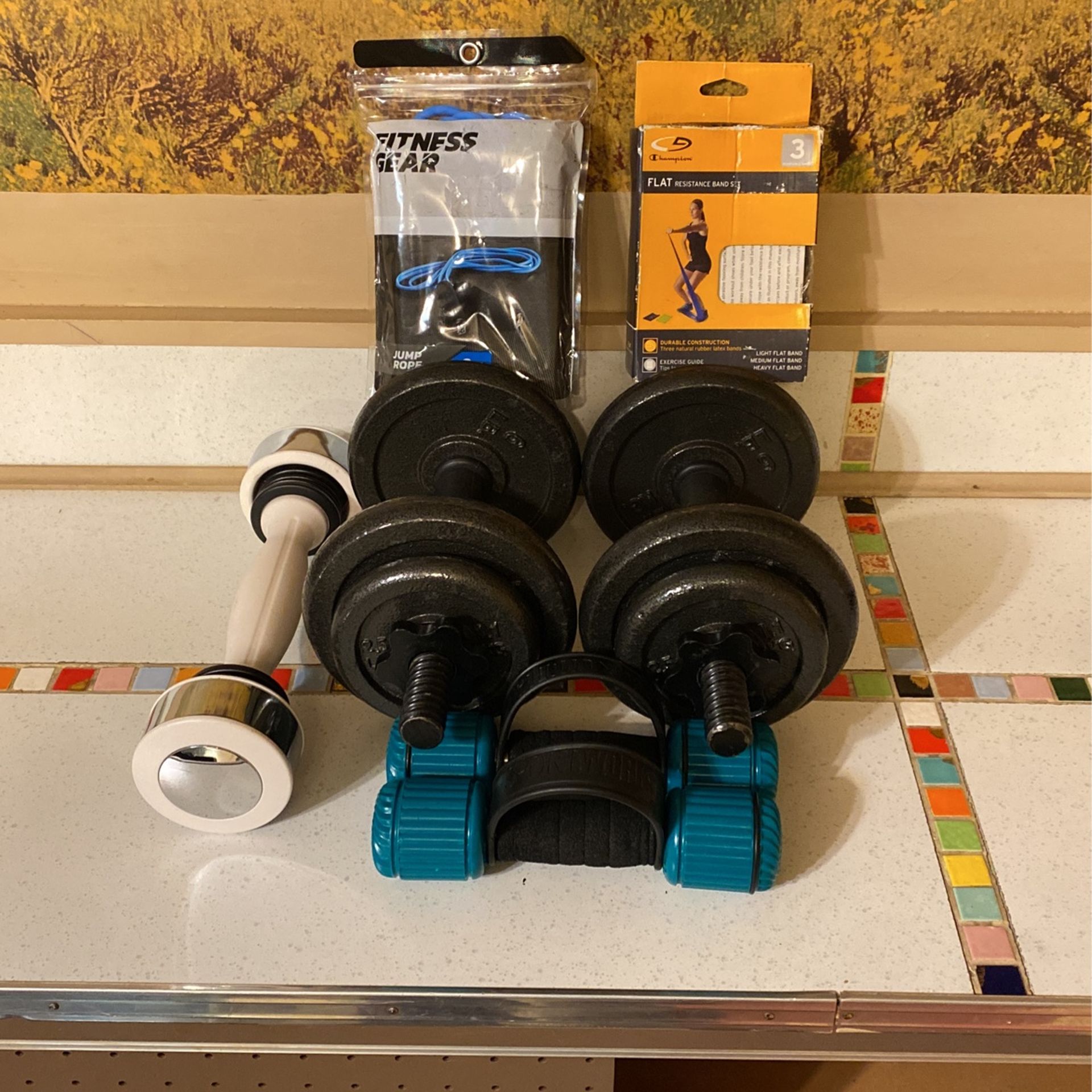 Weights For Sale for Sale in Elgin, IL OfferUp
