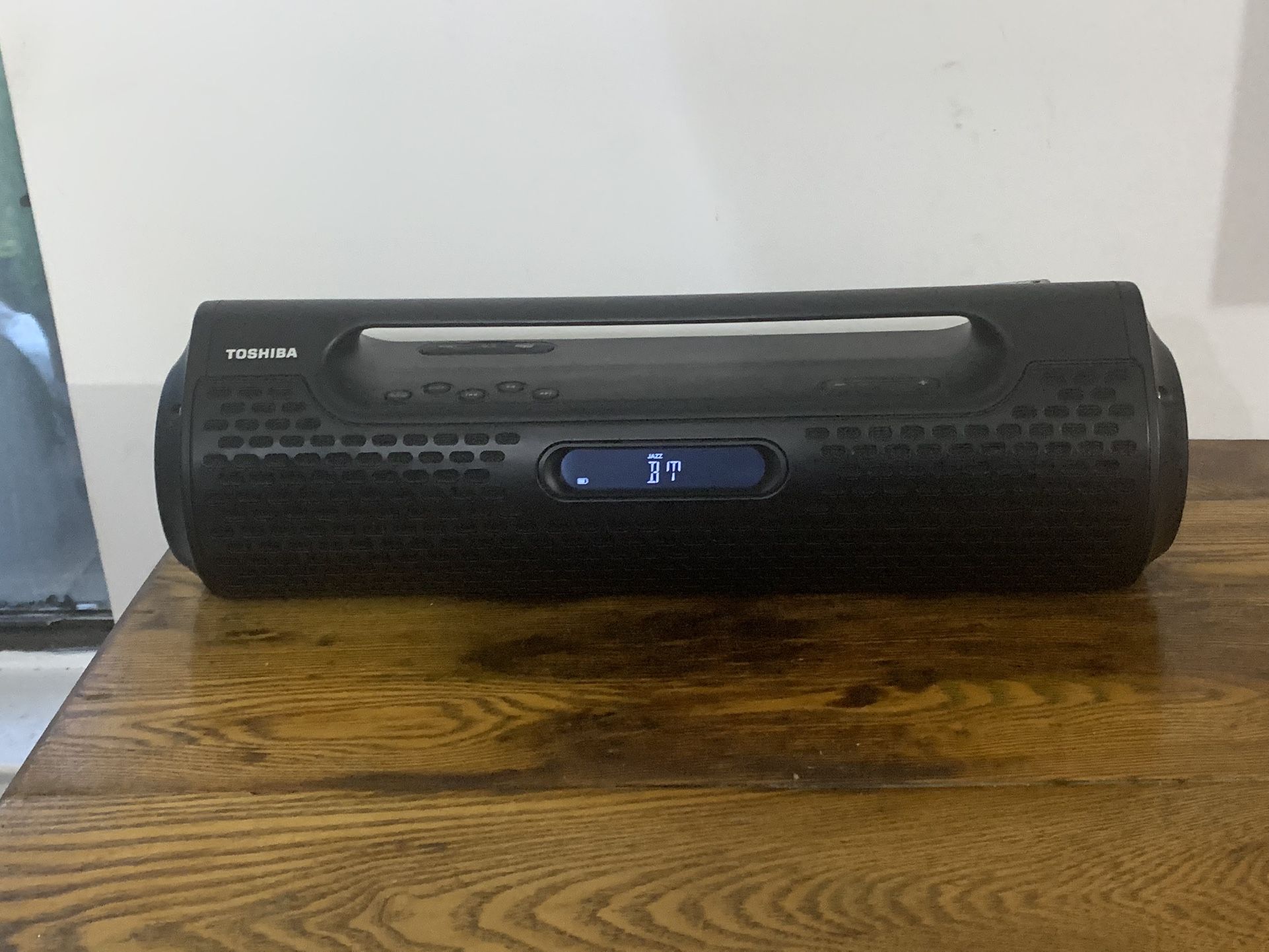 Toshiba Bluetooth Wireless Speaker with FM Radio