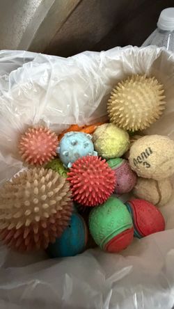 21 dog balls