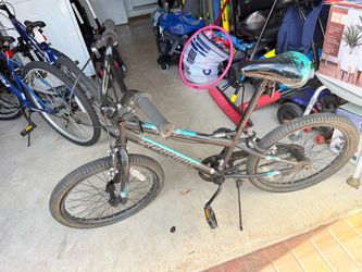 Schwinn 20 inch bike