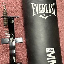 Everlast Punching Bag With Ceiling Mount