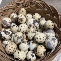Godorniz Eggs