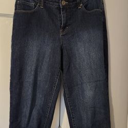 Ladies Curvy Jean Capris Size 10