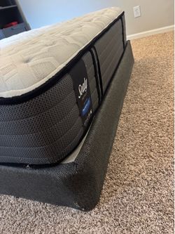 Sealy Premium Queen Mattress + Box Spring