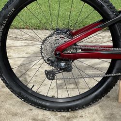 Carbon Trek Fuel Ex Bike 