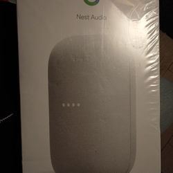 Google Nest Audio