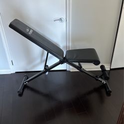 Flybird Workout Adjustable Weight Bench 