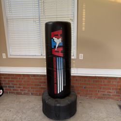 Kicking And Punching Bag ATA