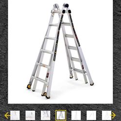 Escalera Gorila 32 Pies